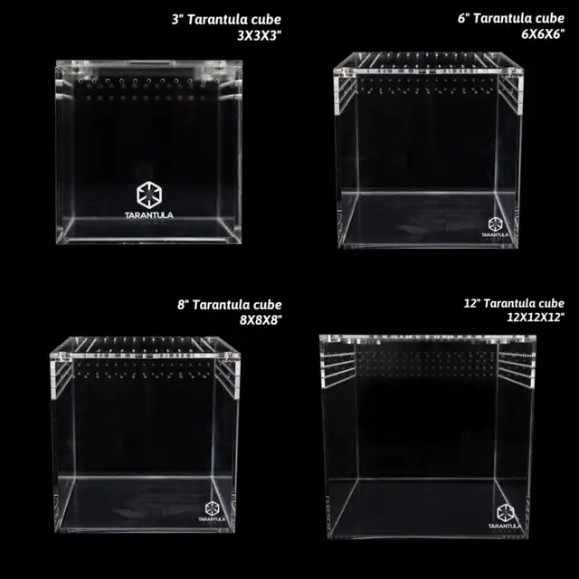 NEW  TARANTULA CRIBS - Photo 6