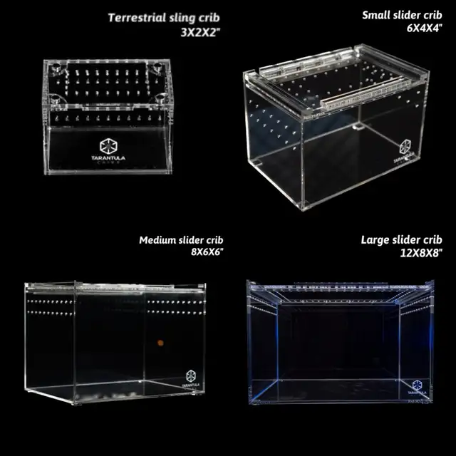 NEW  TARANTULA CRIBS - Photo 7
