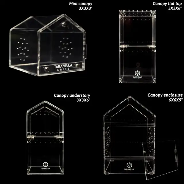 NEW  TARANTULA CRIBS - Photo 9