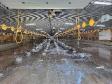 help wanted - Photo 2