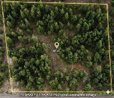 RARE OPPORTUNITY — BC Gov Licensed Natural Spring Water Property