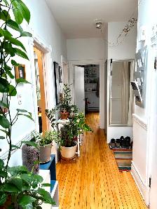 Plateau, grand 5 1/2 rue Marquette, 2eme - Photo 2