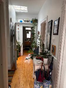 Plateau, grand 5 1/2 rue Marquette, 2eme - Photo 4