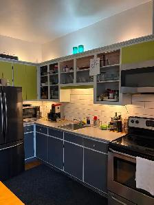 Plateau, grand 5 1/2 rue Marquette, 2eme - Photo 5