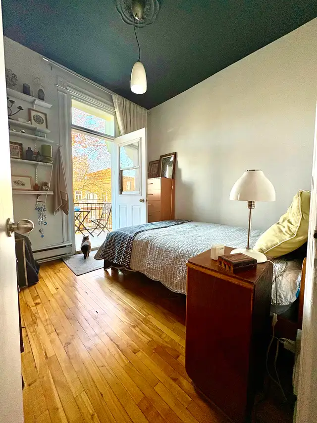 Plateau, grand 5 1/2 rue Marquette, 2eme - Photo 9