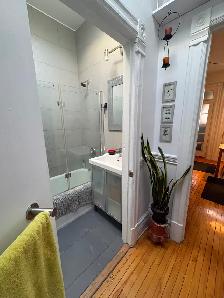 Plateau, grand 5 1/2 rue Marquette, 2eme - Photo 11