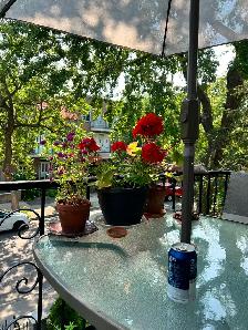 Plateau, grand 5 1/2 rue Marquette, 2eme - Photo 20