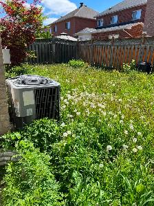 Property Maintenance - Photo 2