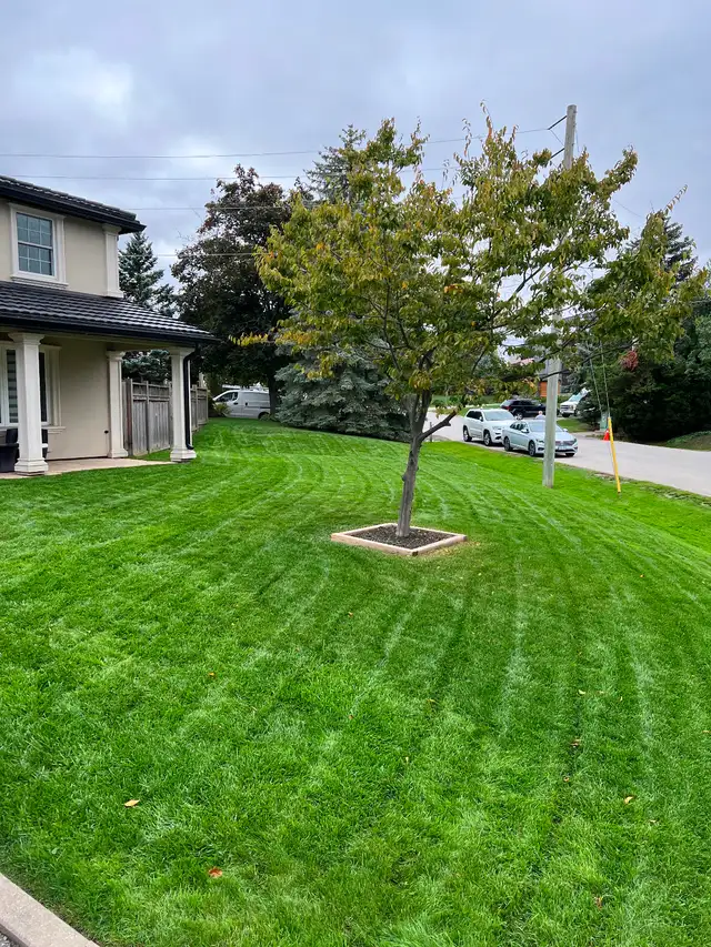 Property Maintenance - Photo 4