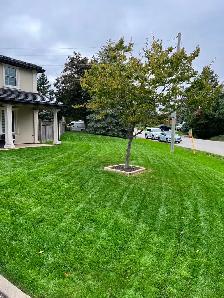 Property Maintenance - Photo 4