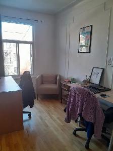 Plateau (Petit Laurier) - Photo 4