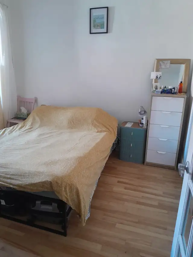 Plateau (Petit Laurier) - Photo 5