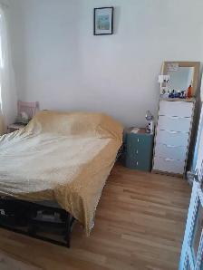 Plateau (Petit Laurier) - Photo 5