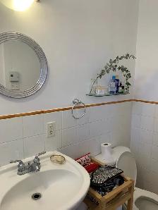 Plateau (Petit Laurier) - Photo 6