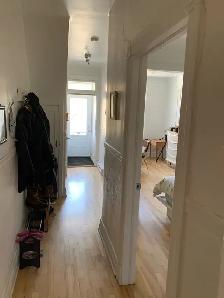 Plateau (Petit Laurier) - Photo 7