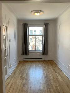 Plateau (Petit Laurier) - Photo 9