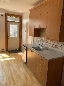 Plateau (Petit Laurier) - Photo 10