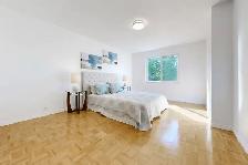 nice house rooms and basement for rent at Mccowan&Mcnicoll - Photo 5