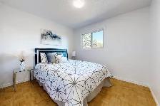 nice house rooms and basement for rent at Mccowan&Mcnicoll - Photo 16