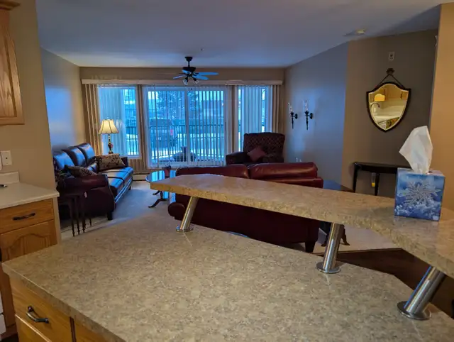Condo for Sale by Owner - Photo 5