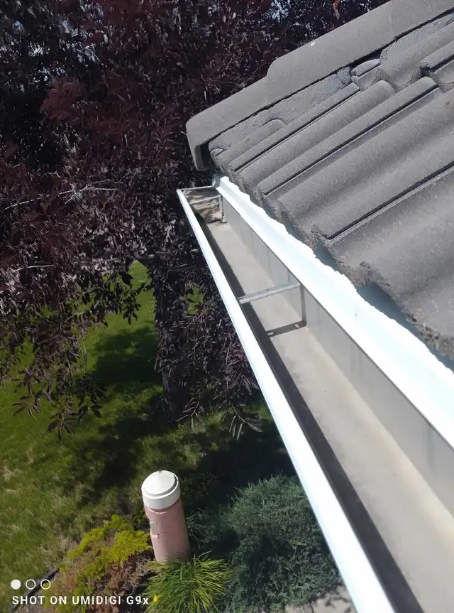 Spring Gutter Cleaning! - Photo 3