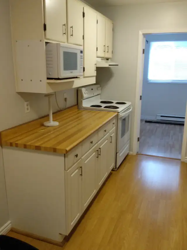 TWO PRIVATE ROOMS FOR RENT $650 WORKING GIRLS PREFERRED UPSTAIRS - Photo 7