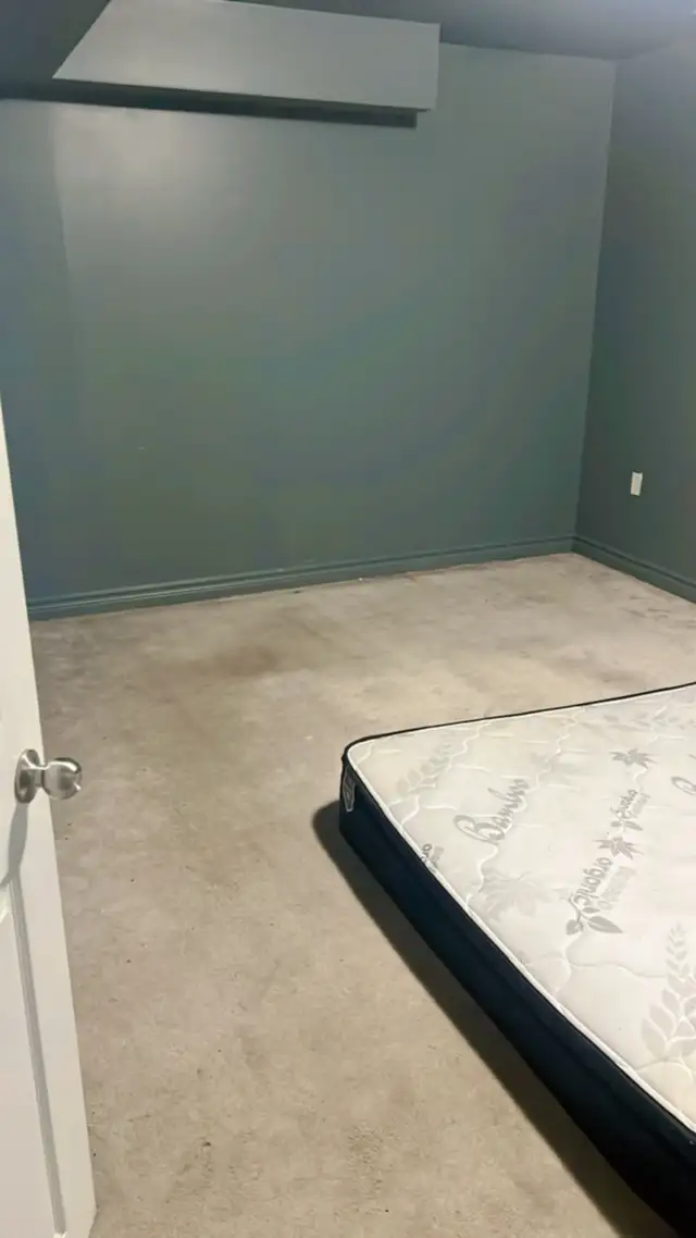 one bedroom basement for rent - Photo 4