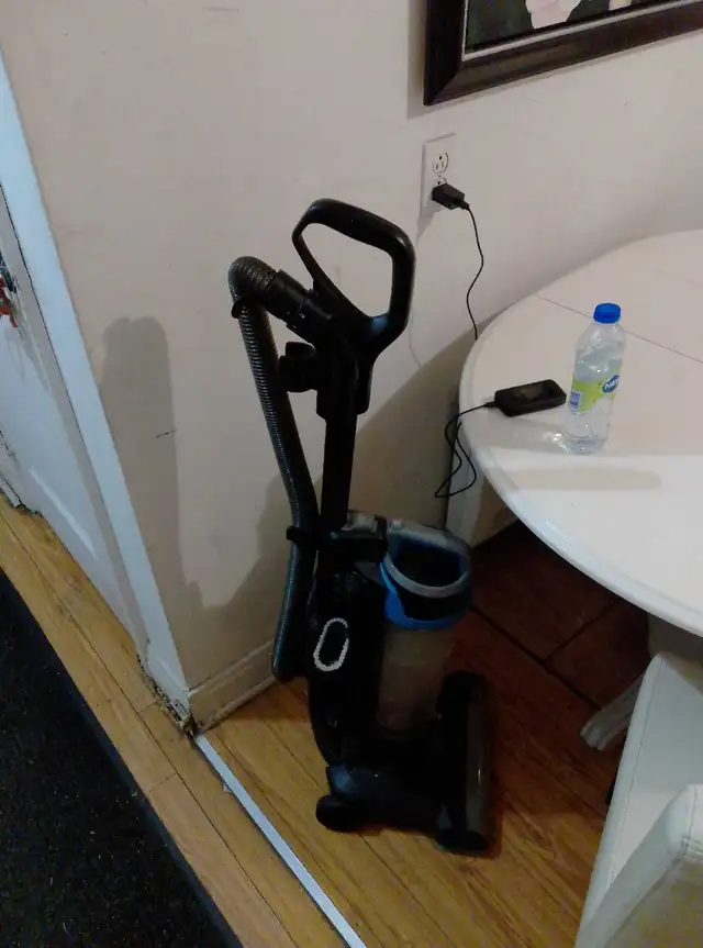 Balayeuse électrique