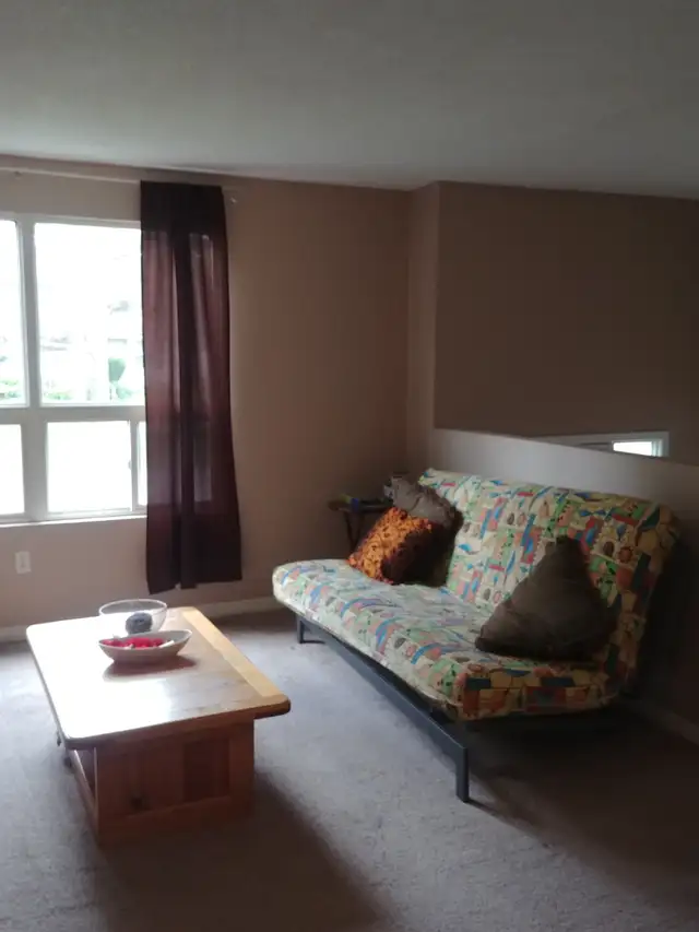 Room for Rent: $700 All-Inclusive near Fanshawe (1 Year Lease) - Photo 4