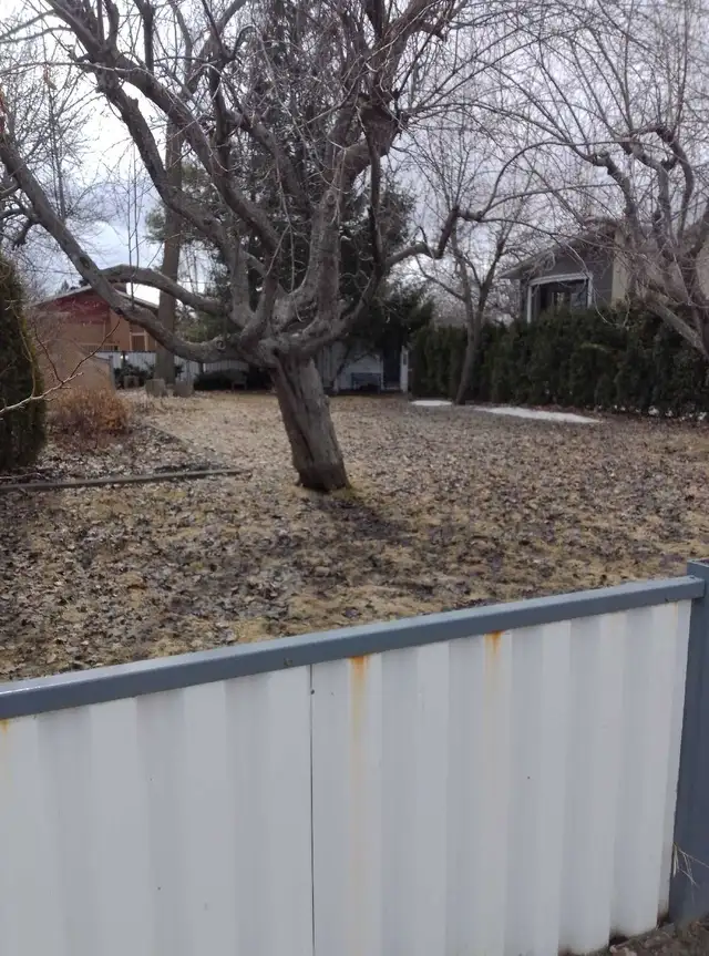 Propriété et terrains à vendre - Photo 2