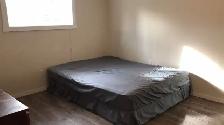 Available now university Mall c-train close downtown one room - Photo 9