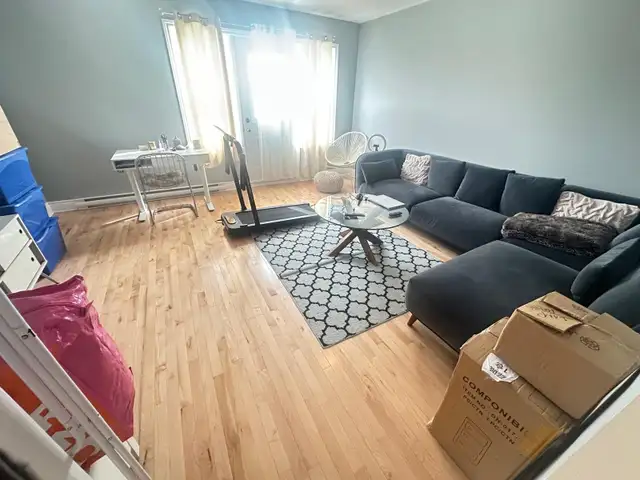 3 1/2  A louer - Photo 7