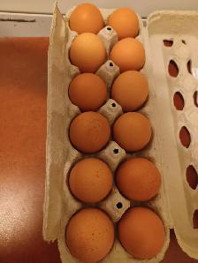 oeufs frais à vendre  $6 la douzaine