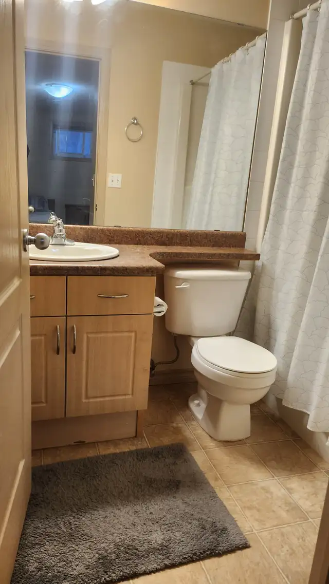 Private Basement Suite Room for Rent Near University of Alberta - Photo 3