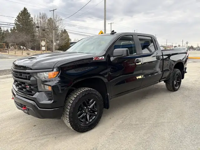 2024 Chevrolet Silverado 1500 Trail Boss - Photo 7