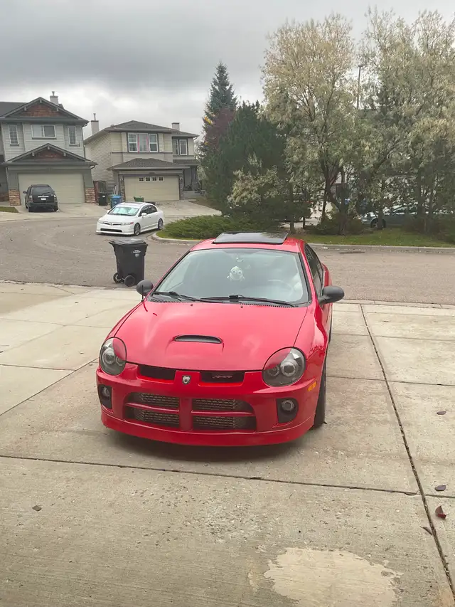 Re-Built Dodge SRT4 Neon - Photo 5