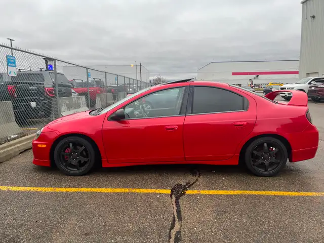 Re-Built Dodge SRT4 Neon - Photo 8