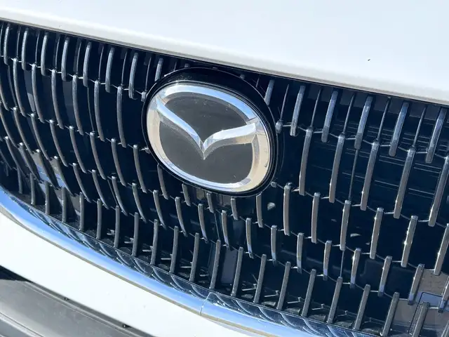 2025 Mazda CX-90 MHEV - Photo 11