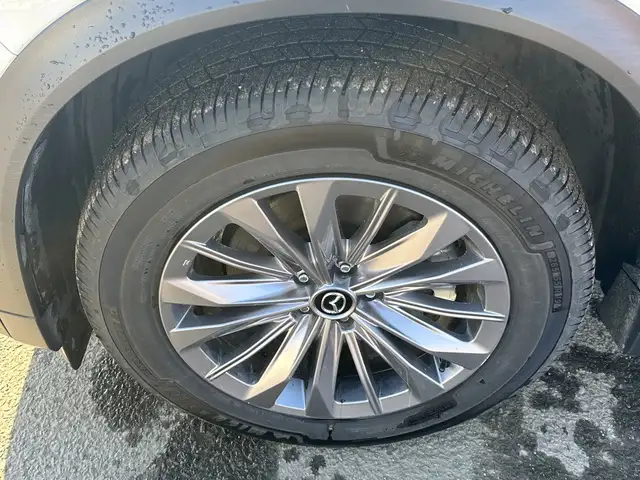 2025 Mazda CX-90 MHEV - Photo 12