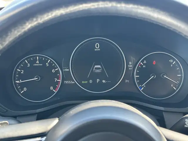 2025 Mazda CX-90 MHEV - Photo 20