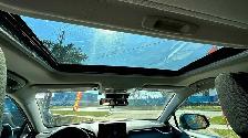 2021 Toyota RAV4 : XLE AWD | NO ACIDENTS | HEATED STEERING WHEEL - Photo 10