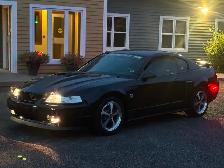 2004 Mustang Mach 1