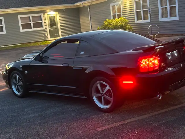 2004 Mustang Mach 1 - Photo 2