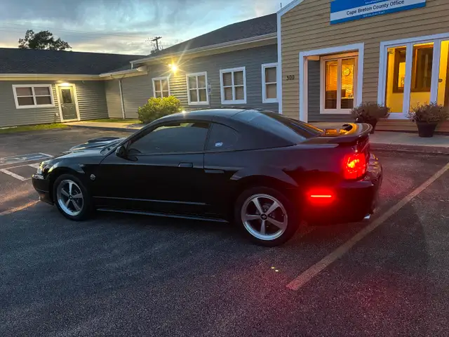 2004 Mustang Mach 1 - Photo 3