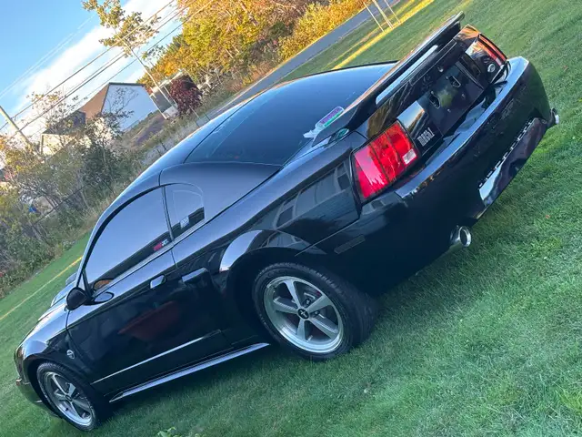 2004 Mustang Mach 1 - Photo 4