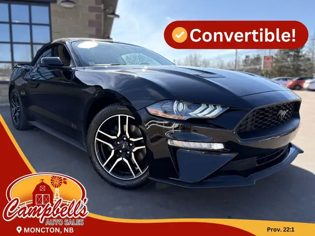 2019 Ford Mustang EcoBoost Premium Power Convertible Top! Rem...