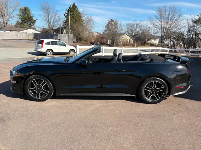 2019 Ford Mustang EcoBoost Premium Power Convertible Top! Rem... - Photo 4