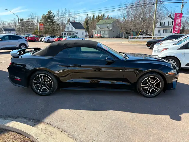 2019 Ford Mustang EcoBoost Premium Power Convertible Top! Rem... - Photo 8