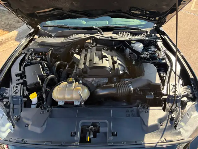 2019 Ford Mustang EcoBoost Premium Power Convertible Top! Rem... - Photo 10