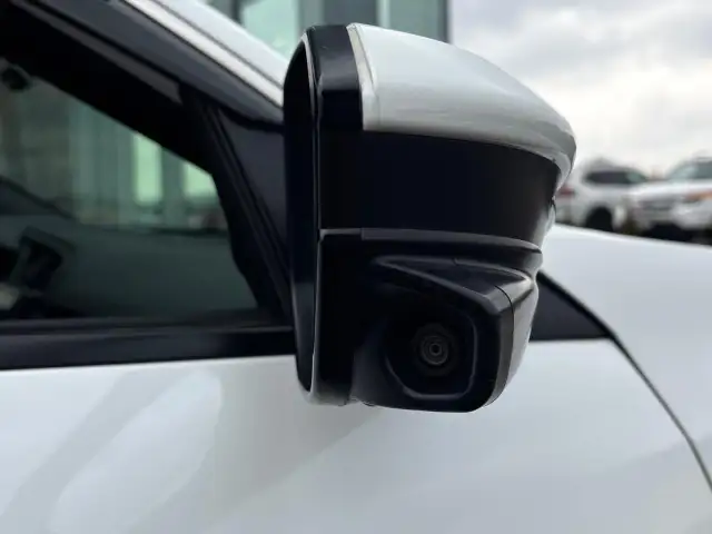 2017 Honda Civic Si Civic Si|Lots Of Service History| Financi... - Photo 17